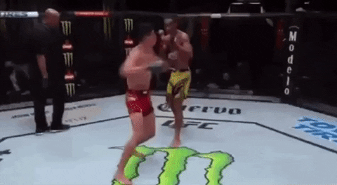 808300134_IgnacioBahamondes(vsRooseveltRoberts-UFCFightNight-Aug21st).gif.60ff11ad3c164946335dd6605f59354f.gif