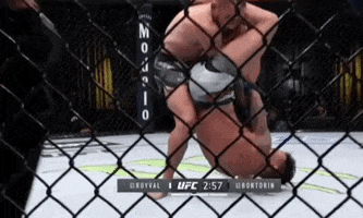 image.gif.0e528e4441e4ab6fea6289ee0a91899e.gif