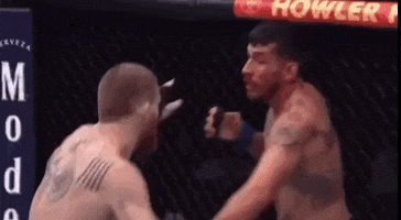 image.gif.b138314d5d1df0dc9a5a3c0c059fc0a0.gif
