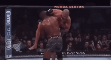 image.gif.f4621bc47135055ebb2576dd0a1b8258.gif