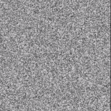 noise-tv.gif.2afd55df92103debe8adcc79a00a41be.gif
