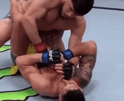 image.gif.8207e944421b0276fdf9882134ffc52e.gif