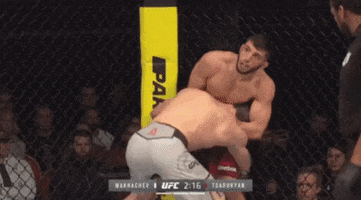 image.gif.f0cdbf01b249fe8aeefcdfe89b3d0220.gif