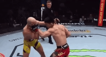 image.gif.656c14377eaa4ea31057522d89f4125a.gif
