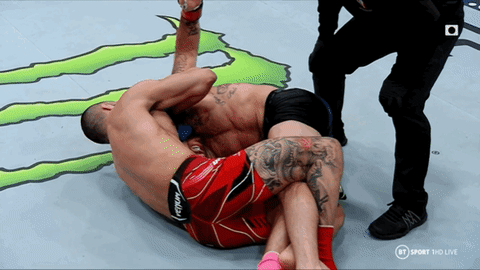 image.gif.b6d4b45f3289fb5c4e5e6e35596726b7.gif