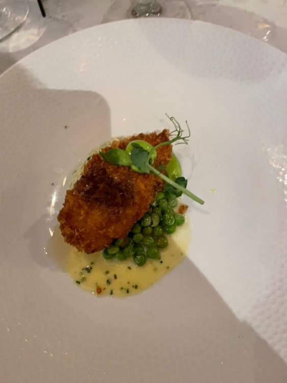 Scampi.thumb.jpeg.a36341ee50f4fcca89dbad6a9d17ce70.jpeg