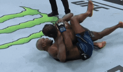 image.gif.177296f221649a367040d1708e2d0b00.gif