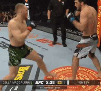 image.gif.a266160bf254e7b325480bad50db8458.gif