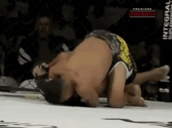 image.gif.351b98ef99bd2c4931da6a743808c5d9.gif