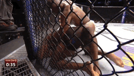 image.gif.954ec5cfb87db7694374900daa588d16.gif