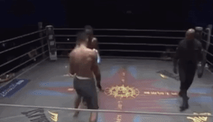 image.gif.c9a2e6f657ce3cdab7d80500ab5363d0.gif