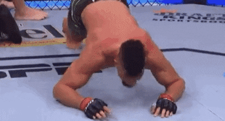 image.gif.e819771f1cf123abcd36acb848c00f5c.gif
