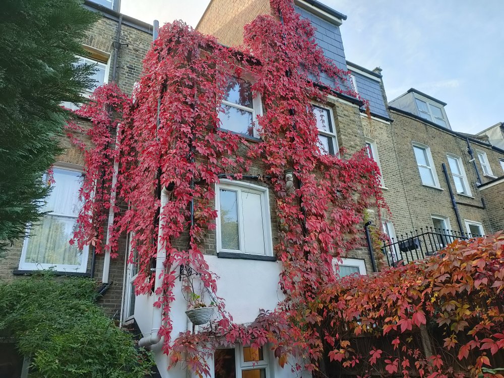 IMG20221007101235.jpg