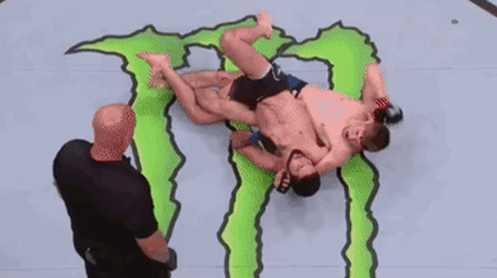 image.gif.46a63df3b9e153bd80738c7fe95509f2.gif