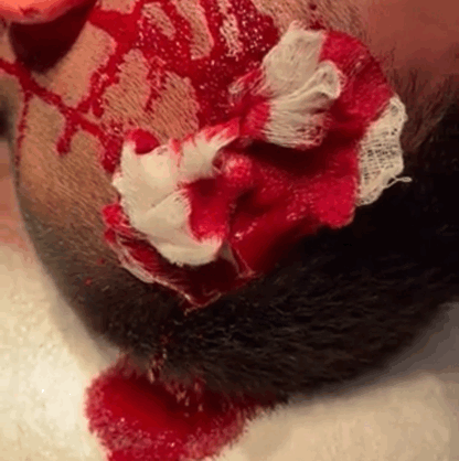 image.gif.c40a54cb68d21c082324e9326de6ef86.gif