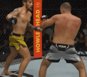 image.gif.f8c2084941a7c4eeeab217f54e9efe96.gif