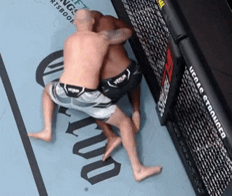 image.gif.8b59e77c75b833d27986f6680cea8314.gif