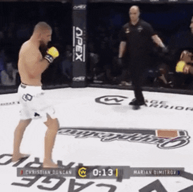 image.gif.925a7d42127728491382328070b74f9d.gif