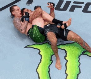 image.gif.c5f1d9dd4383ab1e11ca2d43ec5c3f0a.gif