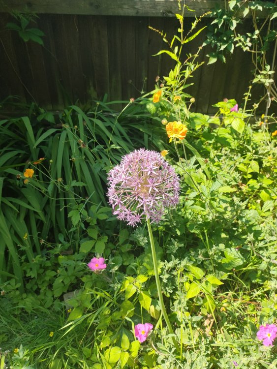 IMG20230608114309.jpg
