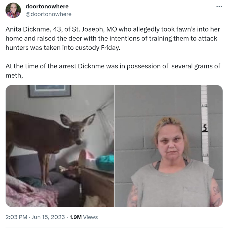 Screenshot_20230619-211257~2.png