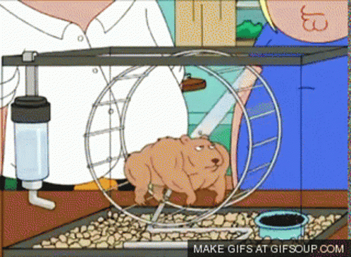 buff-hamster-family-guy.gif.e9650148754148fb53ec15bc79f87378.gif