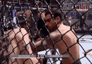 image.gif.bf220227f9fff938ab44255a92180472.gif