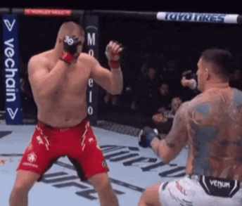 image.gif.b6e0c1c4d3b7614e6d576b9054483a1f.gif