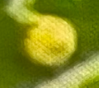 image.png.79aee731a78dd870c3e280f01080a441.png