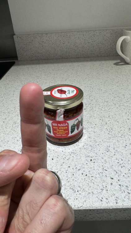 IMG_1455.thumb.jpeg.8676cddad271138c0f1c8e302e8d17e7.jpeg