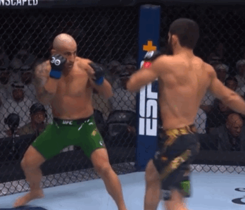 IslamMakhachevVs.AlexanderVolkanovski.gif.9601bf22bf1f5d8f5223ff5911029547.gif