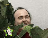image.gif.71bc656298b468402c7968691e631c38.gif