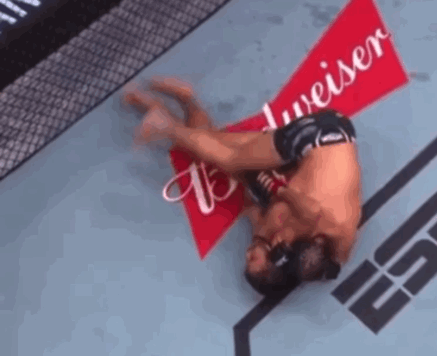 IMB_XFCELw.gif.150222690b72212ec2a34f2b7f1cc735.gif