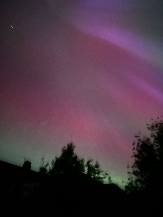 IMG-20240510-WA0010.thumb.jpg.f1fb5839aa767590579026d043b1e2b9.jpg