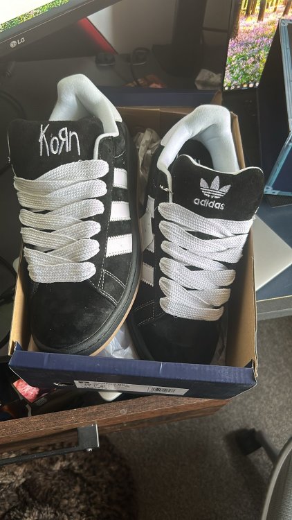 KornTrainers.thumb.jpg.f8f0eefba9c20a12eba3982ee7273c8f.jpg
