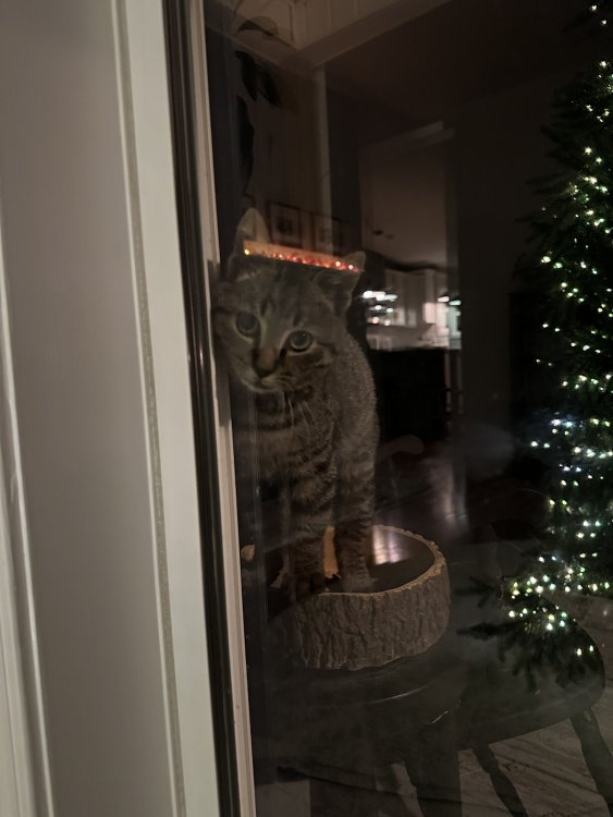 IMG_3957.jpeg