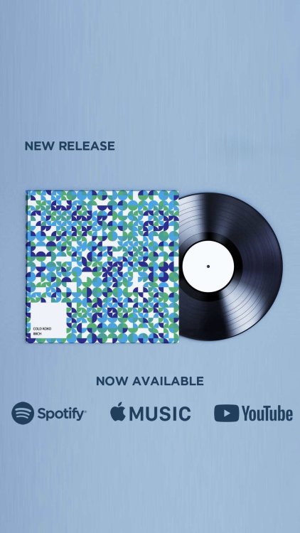 vinyl.thumb.jpeg.79806c8a7558b11c98fc573169d36ad8.jpeg