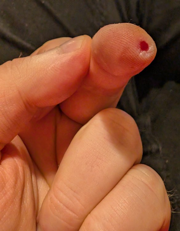 PXL_20250830_1842019702.thumb.jpg.0eec402adddb02e81d4ee529911f8d2d.jpg