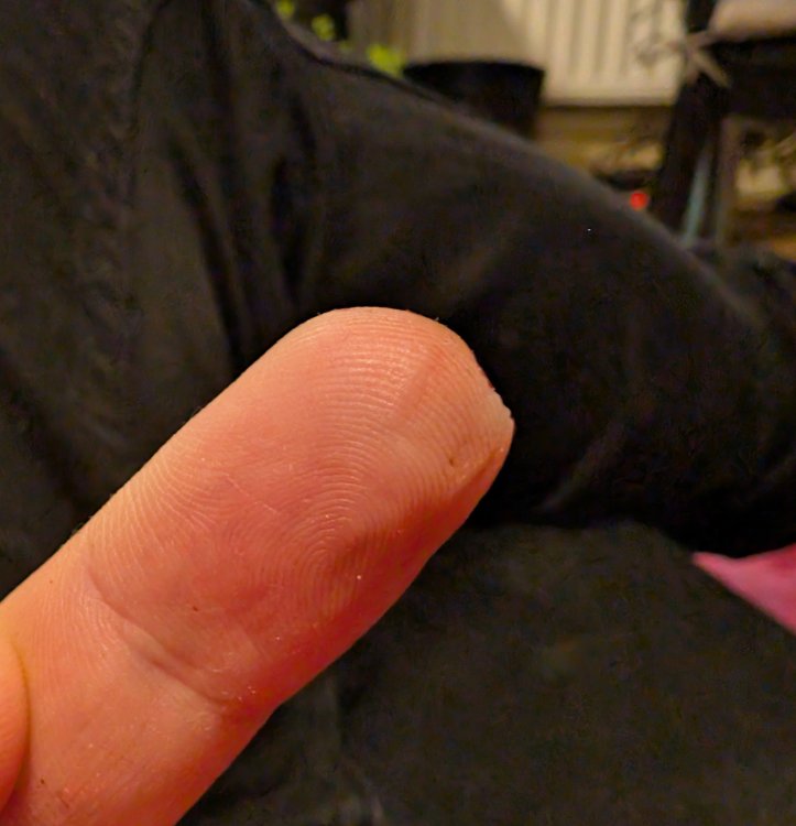 PXL_20250830_1842146042.thumb.jpg.0bc2531d92d1d146bc84d3007788b4d8.jpg