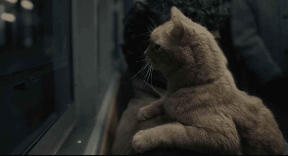 image.thumb.png.861252ae1cea21e5b0e96c9b9e0e1aaa.png