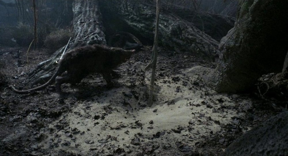 Screenshot_20260426_210626_IMDb.thumb.jpg.2ce28a67906c04360b952e11de938f06.jpg